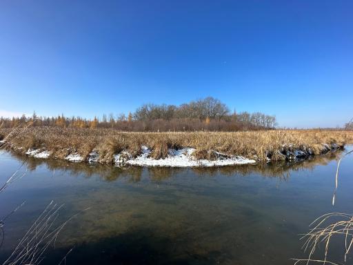 Photo for TBD Co Hwy 40, Parkers Prairie, MN 56361 - Listing #6458112 TBD Co Hwy 40, Parkers Prairie, MN 56361
