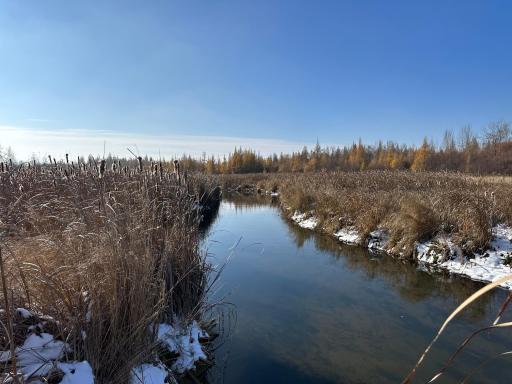 Photo for TBD Co Hwy 40, Parkers Prairie, MN 56361 - Listing #6458112 TBD Co Hwy 40, Parkers Prairie, MN 56361