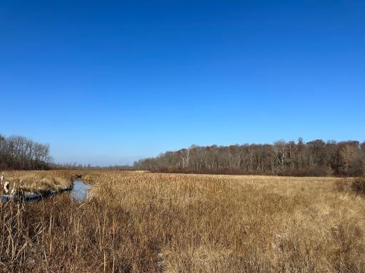 Photo for TBD Co Hwy 40, Parkers Prairie, MN 56361 - Listing #6458112 TBD Co Hwy 40, Parkers Prairie, MN 56361