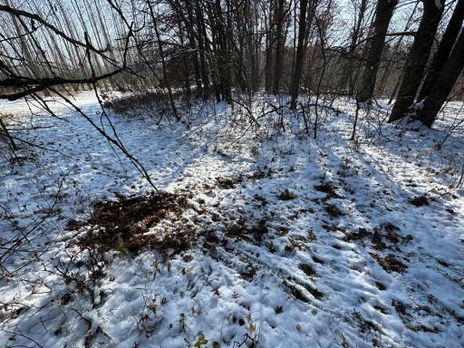 Photo for TBD Co Hwy 40, Parkers Prairie, MN 56361 - Listing #6458112 TBD Co Hwy 40, Parkers Prairie, MN 56361