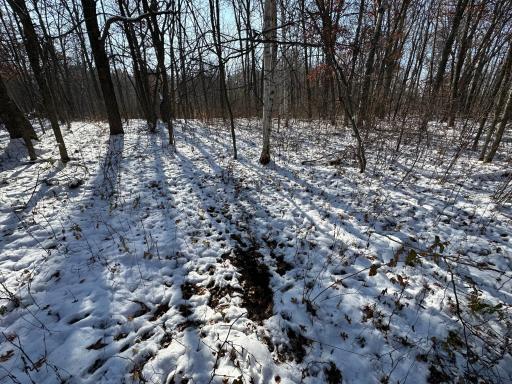 Photo for TBD Co Hwy 40, Parkers Prairie, MN 56361 - Listing #6458112 TBD Co Hwy 40, Parkers Prairie, MN 56361