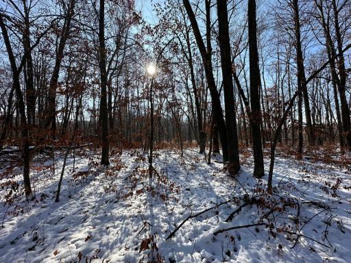 Photo for TBD Co Hwy 40, Parkers Prairie, MN 56361 - Listing #6458112 TBD Co Hwy 40, Parkers Prairie, MN 56361