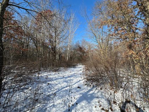 Photo for TBD Co Hwy 40, Parkers Prairie, MN 56361 - Listing #6458112 TBD Co Hwy 40, Parkers Prairie, MN 56361