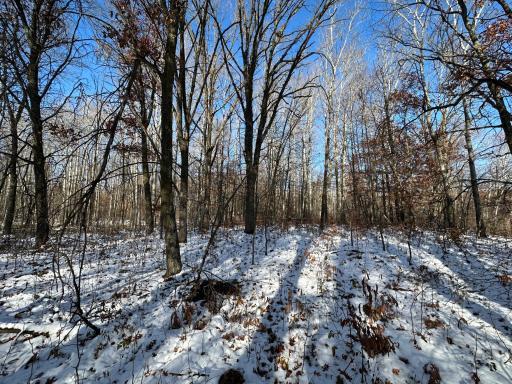 Photo for TBD Co Hwy 40, Parkers Prairie, MN 56361 - Listing #6458112 TBD Co Hwy 40, Parkers Prairie, MN 56361