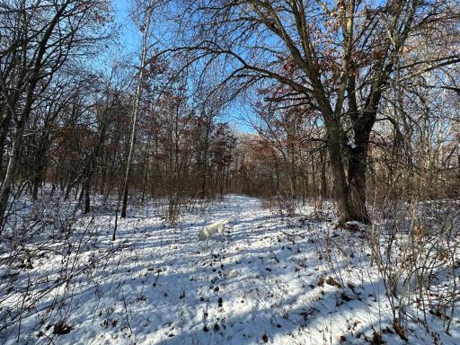 Photo for TBD Co Hwy 40, Parkers Prairie, MN 56361 - Listing #6458112 TBD Co Hwy 40, Parkers Prairie, MN 56361