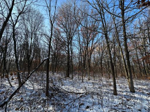 Photo for TBD Co Hwy 40, Parkers Prairie, MN 56361 - Listing #6458112 TBD Co Hwy 40, Parkers Prairie, MN 56361