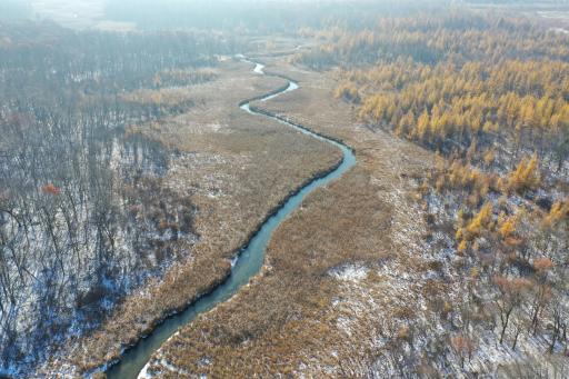 TBD Co Hwy 40, Parkers Prairie, MN 56361