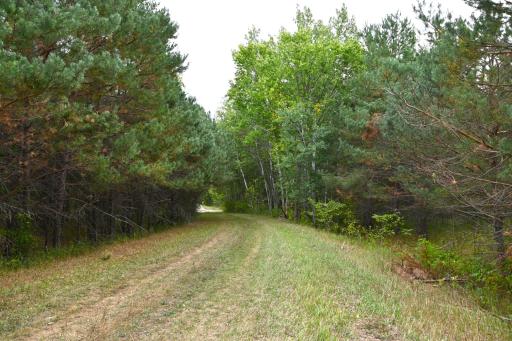 xxx Pequot Court, Browerville, MN 56438