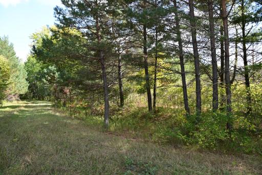 xxx Pequot Court, Browerville, MN 56438