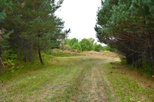 xxx Pequot Court, Browerville, MN 56438