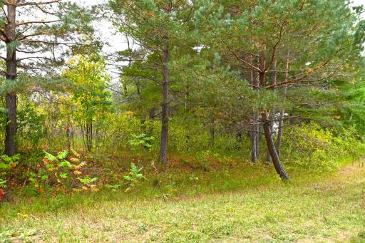 xxx Pequot Court, Browerville, MN 56438