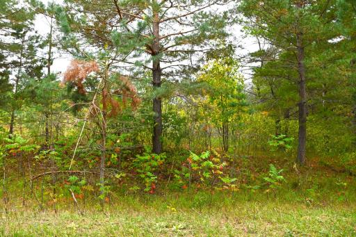 xxx Pequot Court, Browerville, MN 56438