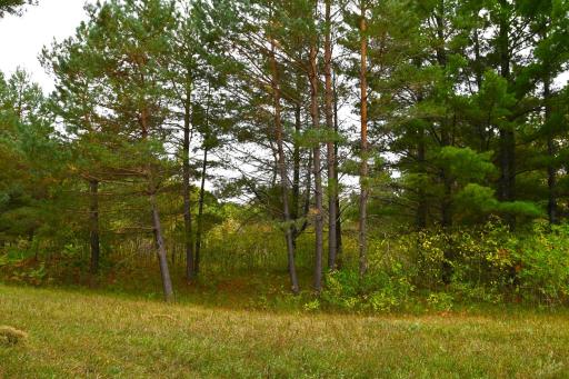 xxx Pequot Court, Browerville, MN 56438