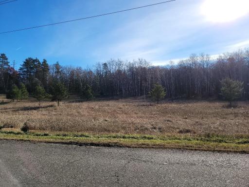 TBD Buschmann Road, Pequot Lakes, MN 56472
