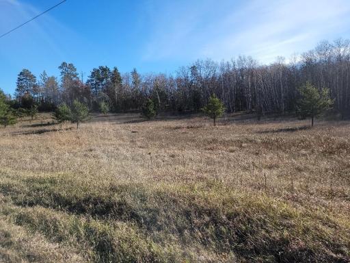 TBD Buschmann Road, Pequot Lakes, MN 56472
