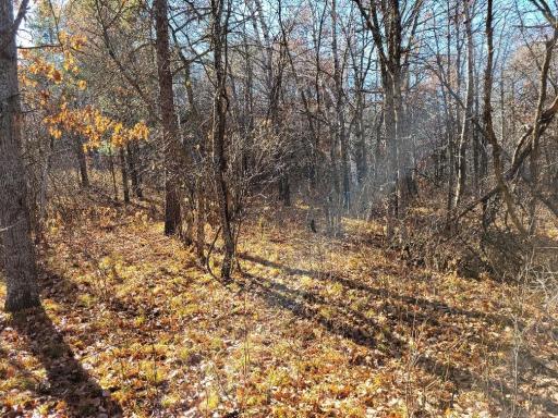 TBD Buschmann Road, Pequot Lakes, MN 56472