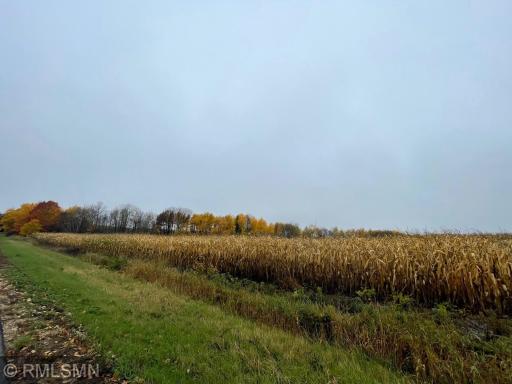Photo for xxx 40th Ave, Clear Lake, WI 54005 - Listing #6459681 xxx 40th Ave, Clear Lake, WI 54005