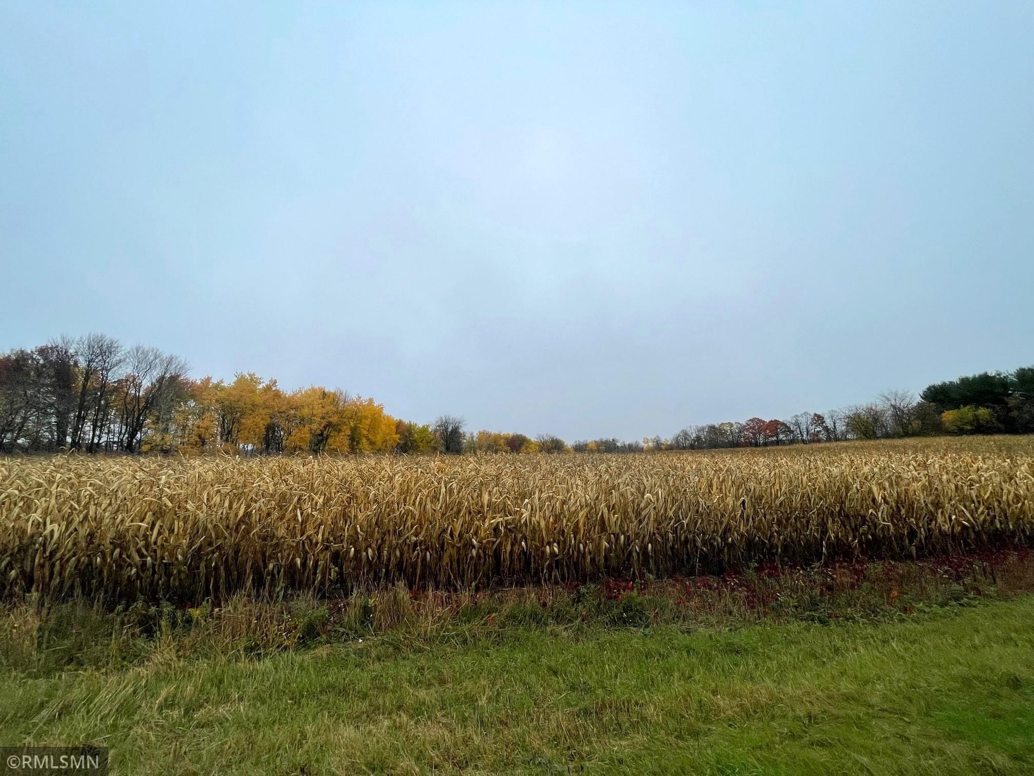 Photo for xxx 40th Ave, Clear Lake, WI 54005 - Listing #6459681 xxx 40th Ave, Clear Lake, WI 54005