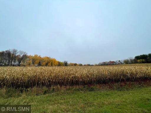 Photo for xxx 40th Ave, Clear Lake, WI 54005 - Listing #6459681 xxx 40th Ave, Clear Lake, WI 54005