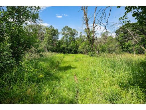 3 Pondview Trail, North Oaks, MN 55127