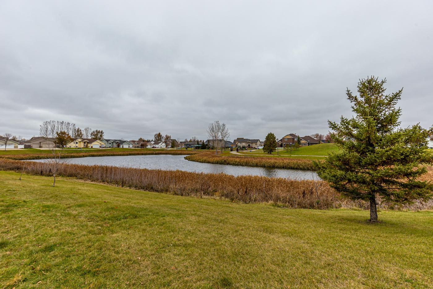 Pond View
