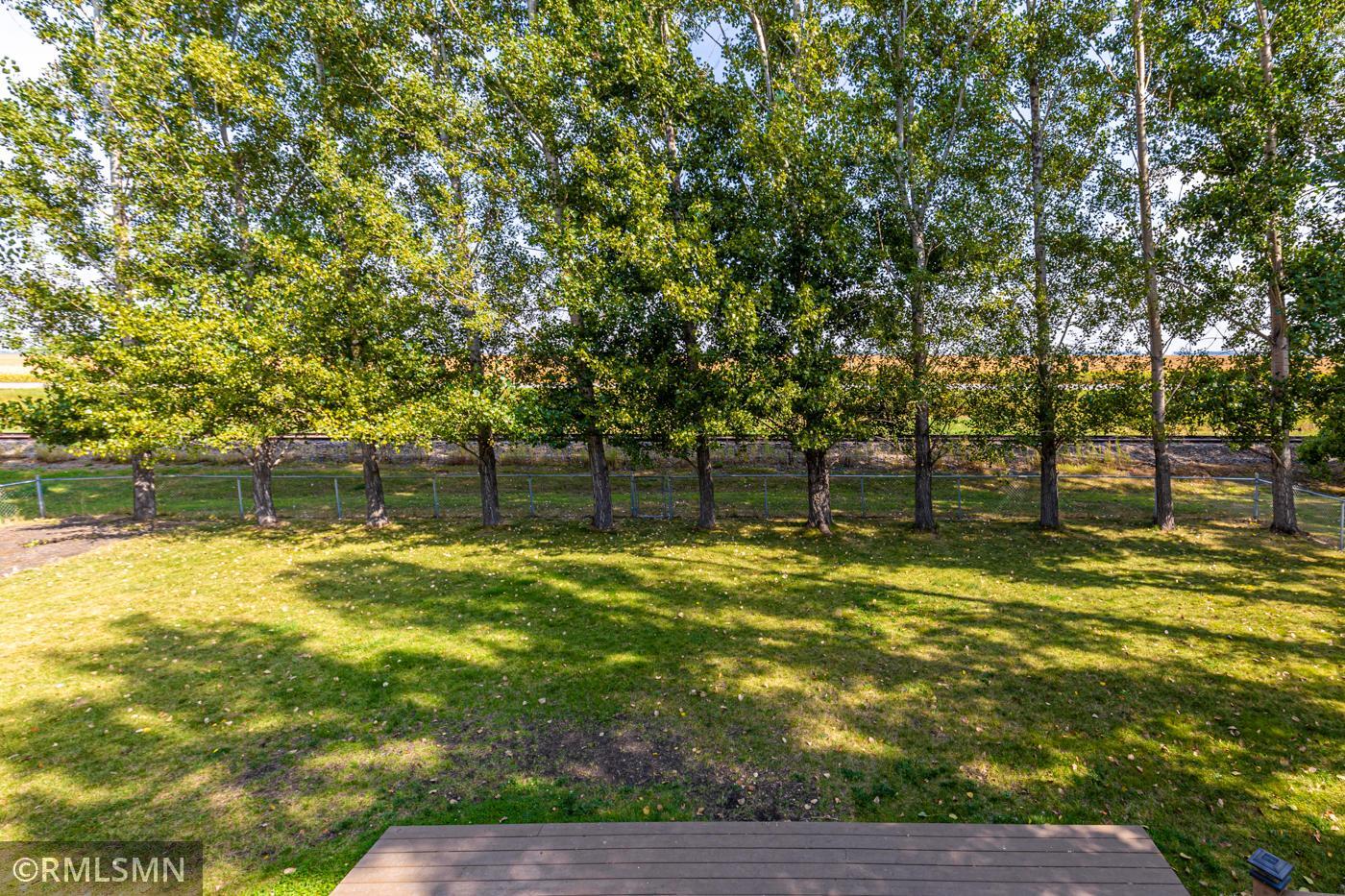 Exterior - Mature Trees and a large lot!