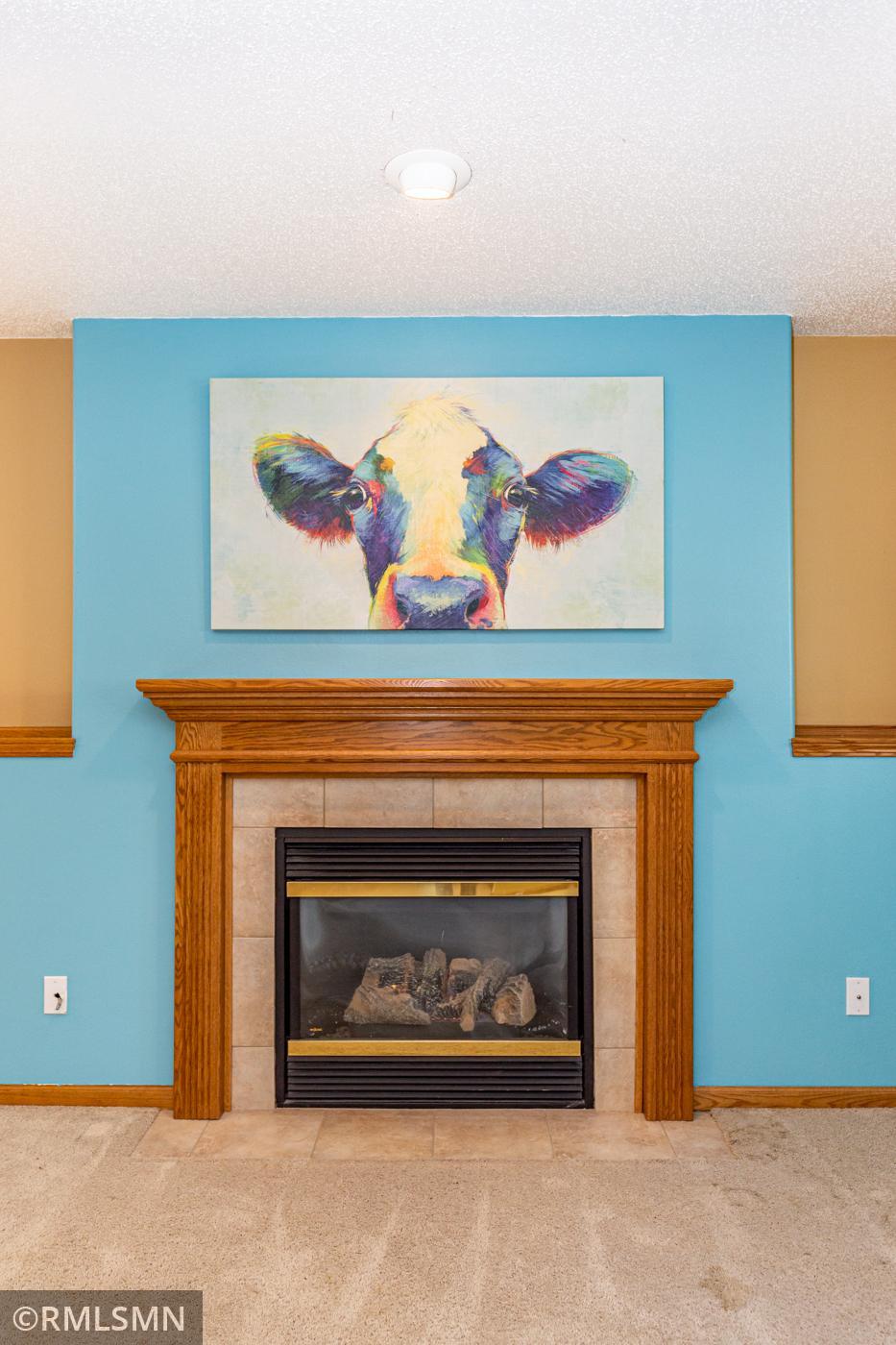 Gas Fireplace