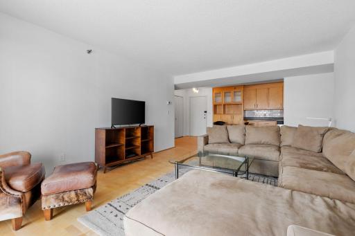 121 Washington Avenue S, 516, Minneapolis, MN 55401