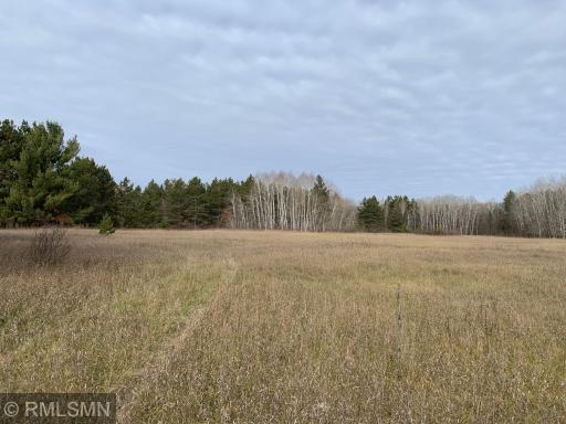 Nice and level and dry field for building site or plant a garden or food plot.