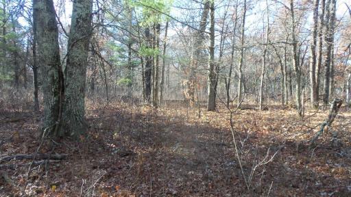 Lot 1 Riverview Trl, Grantsburg, WI 54840