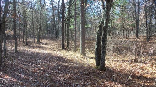 Lot 1 Riverview Trl, Grantsburg, WI 54840