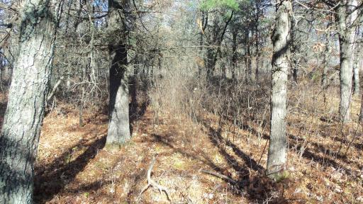 Lot 1 Riverview Trl, Grantsburg, WI 54840
