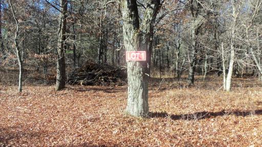 Lot 1 Riverview Trl, Grantsburg, WI 54840