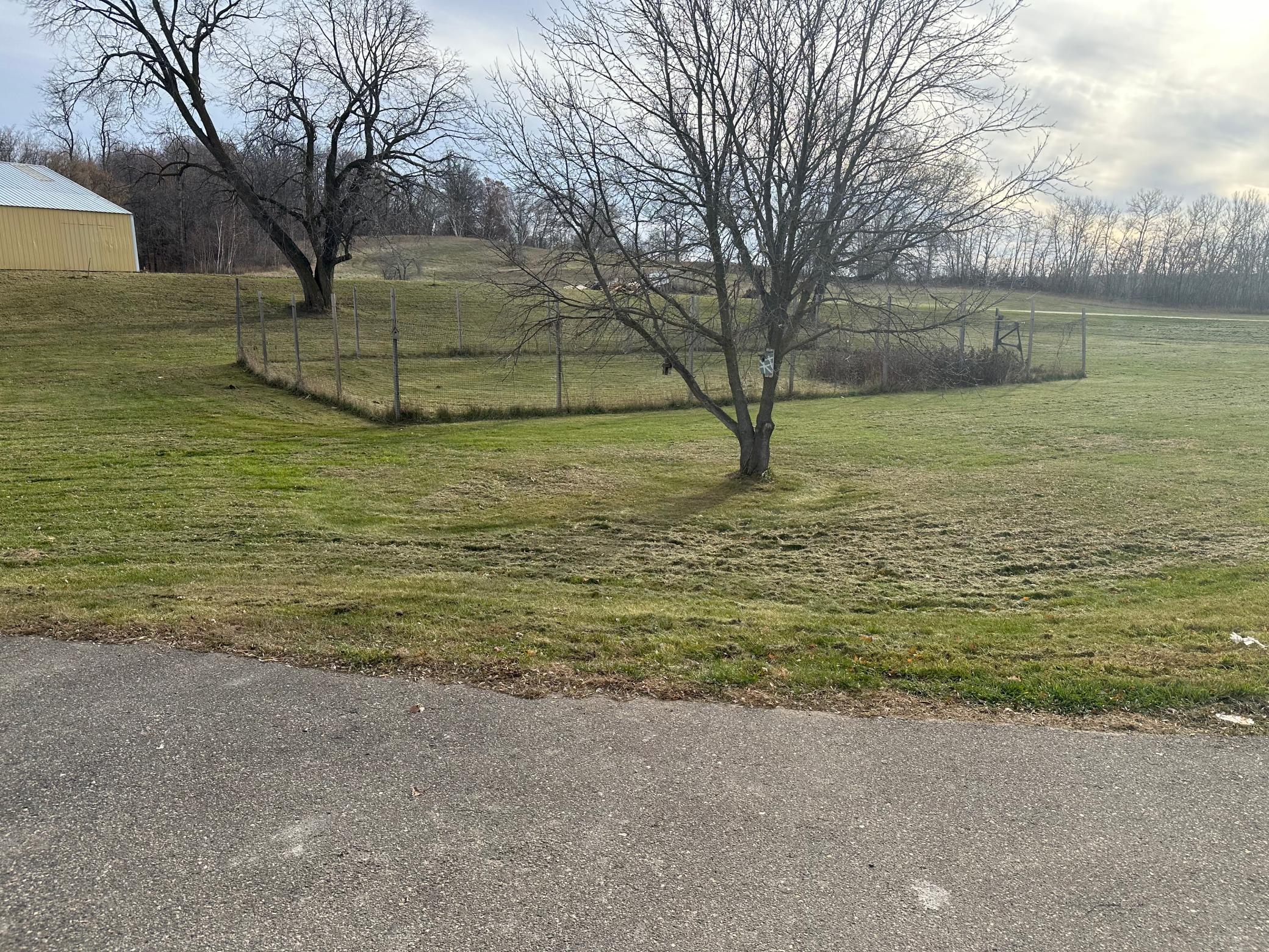 Fenced in garden.jpg