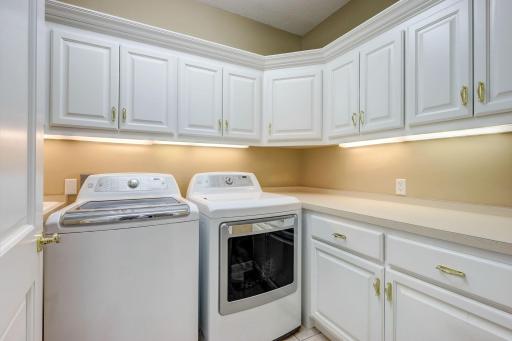 6873 Black Duck Drive, Lino Lakes, MN 55014