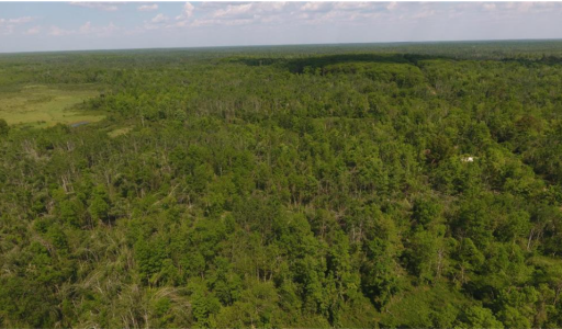 Property facing East