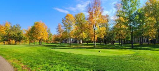 Fall colors on the course