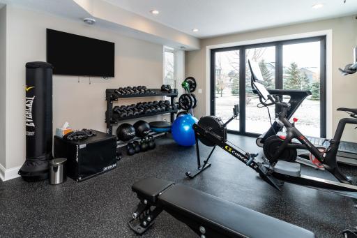 New Lower Level Addition Gym Walk Out with entire Glass Open Accordion Door's and new floor to ceiling window.