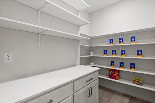 Working pantry with outlets for small appliances -