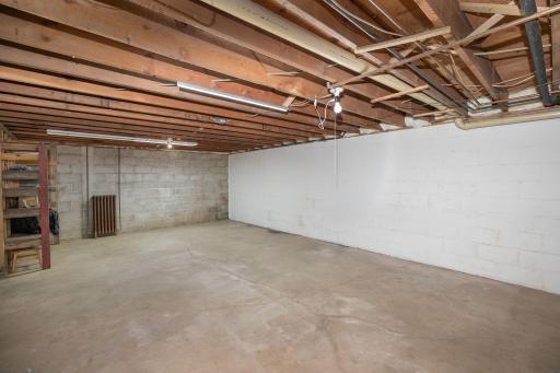 40-web-or-mls-40-Lower Level.jpg