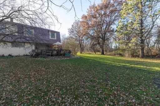 45-web-or-mls-45-Back View.jpg