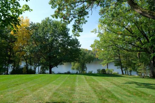 Summer Backyard: south facing to the lake