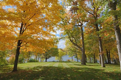 Stunning Fall Colors overlooking large yard to the lake