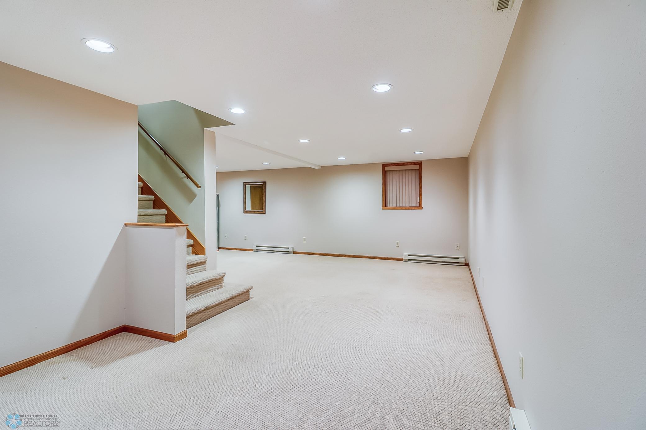 Basement Family Room