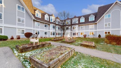 Garden plots for the condo owners.jpg