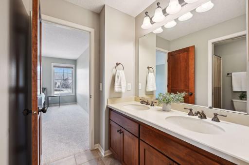 4210 Wild Meadows Drive, Hamel, MN 55340