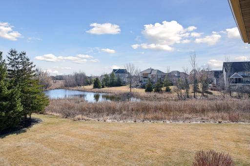 4210 Wild Meadows Drive, Hamel, MN 55340