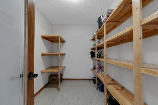 Huge walk in pantry with tons of storage space