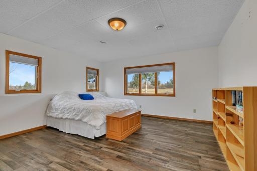 Lower level bedroom with walk in closet