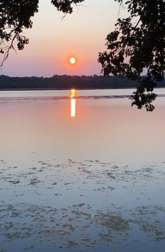 Seller provided pictures.jpg